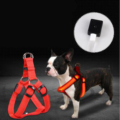 LED Luminous Dog Harness & Leash Set