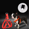 LED Luminous Dog Harness & Leash Set