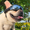 Pet Sunglasses – Windproof UV Goggles for Dogs & Cats