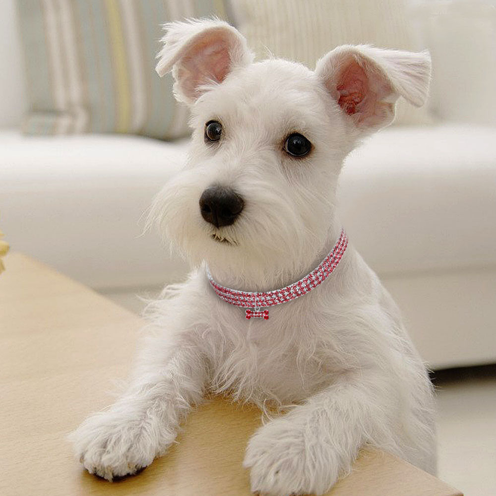 Bling Rhinestone Dog Collar – Crystal Collar for Small & Medium Dogs or Cats